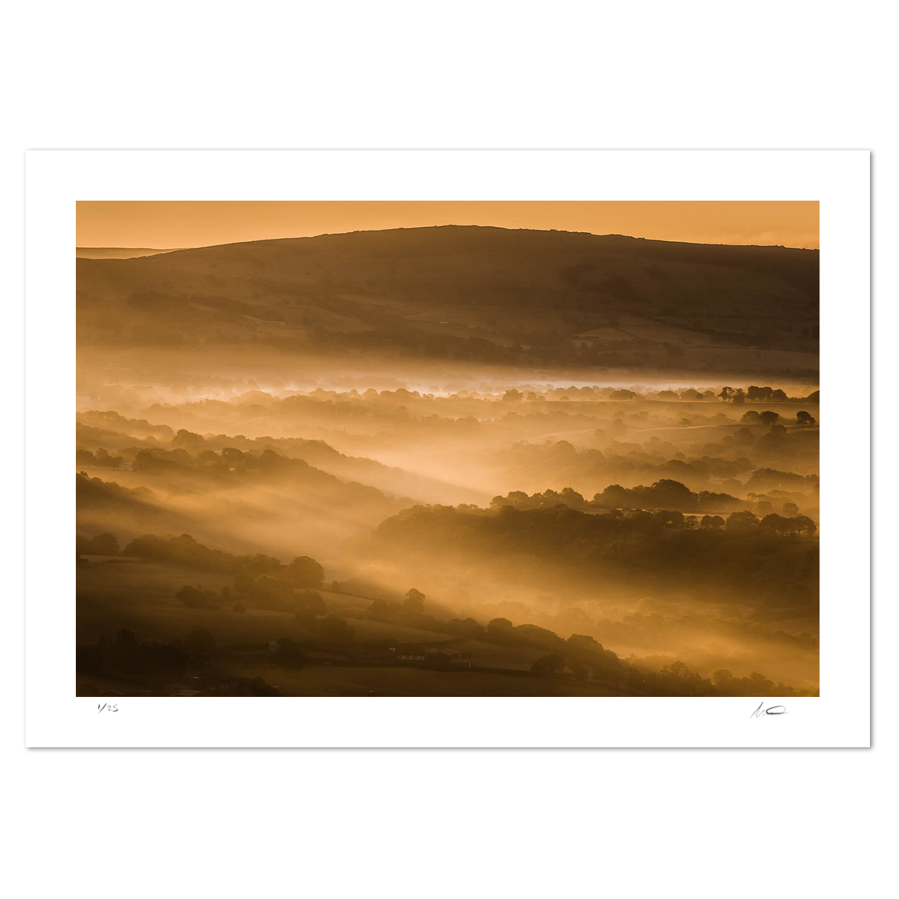 Cheshire Mist