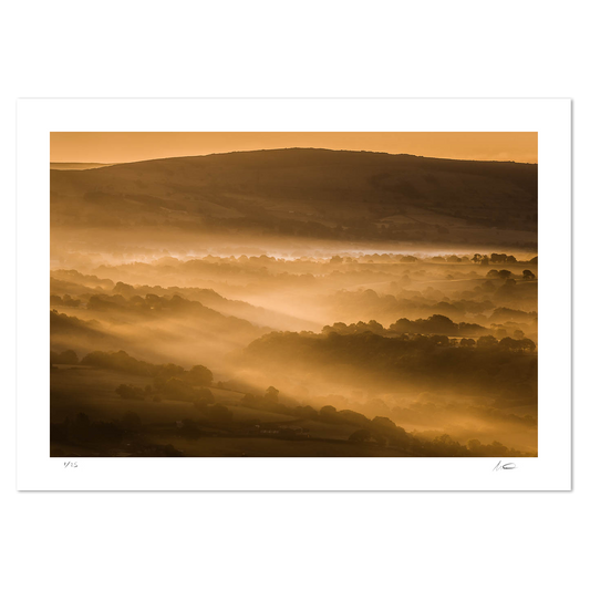 Cheshire Mist
