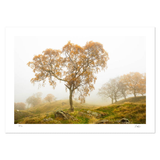 Edale Mist