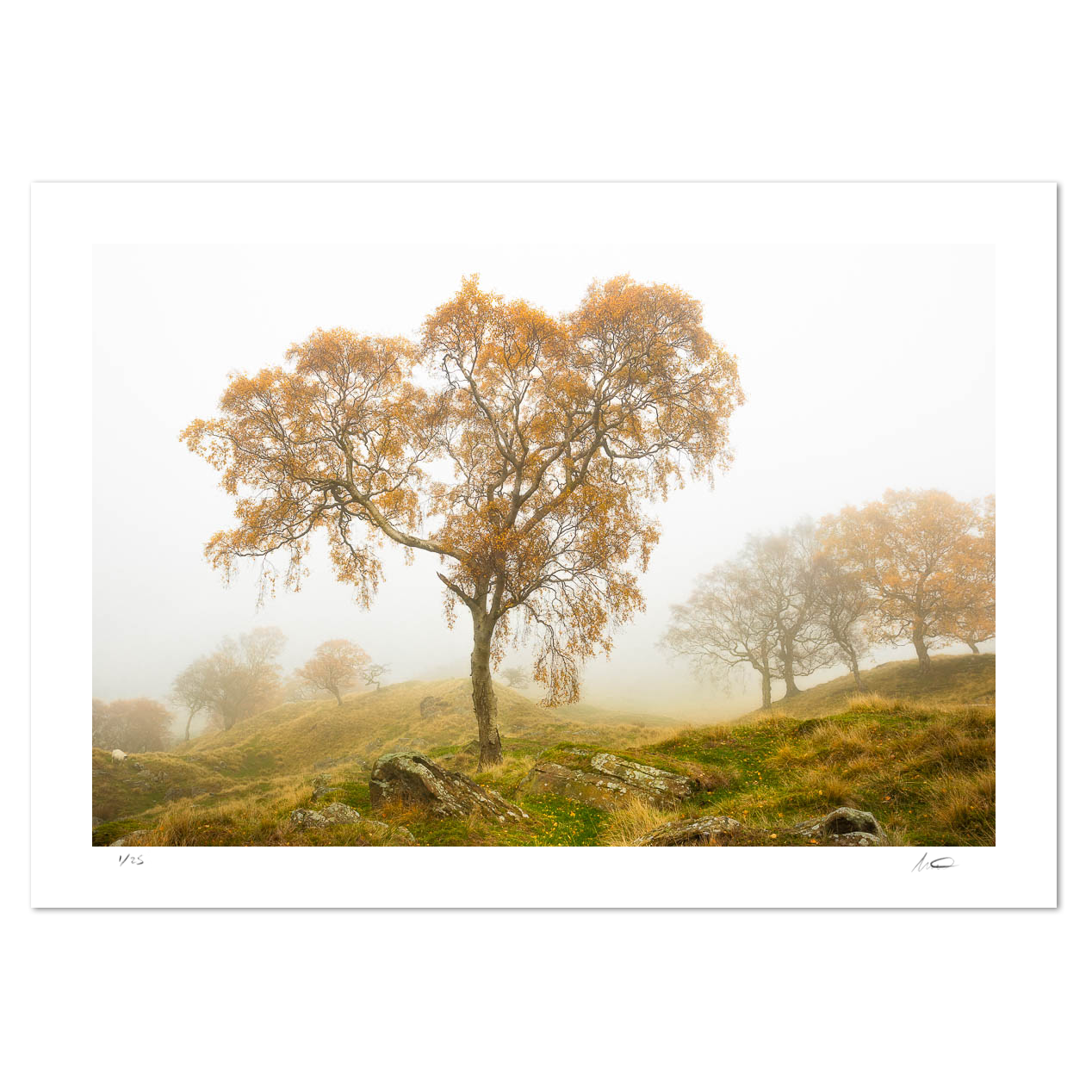 Edale Mist