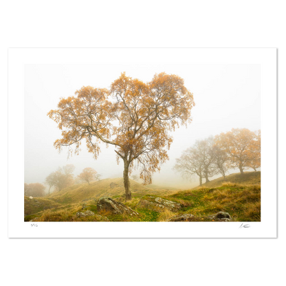 Edale Mist