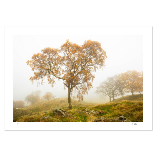 Edale Mist