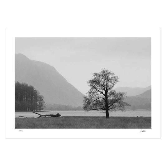 Keeping Watch Over Buttermere