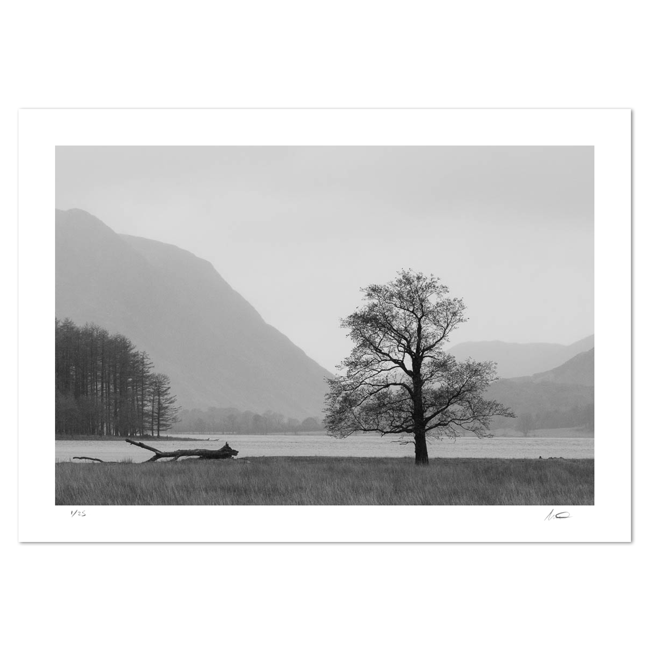 keeping watch over buttermere Matthew Light landscape photography print
