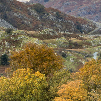 Langdales