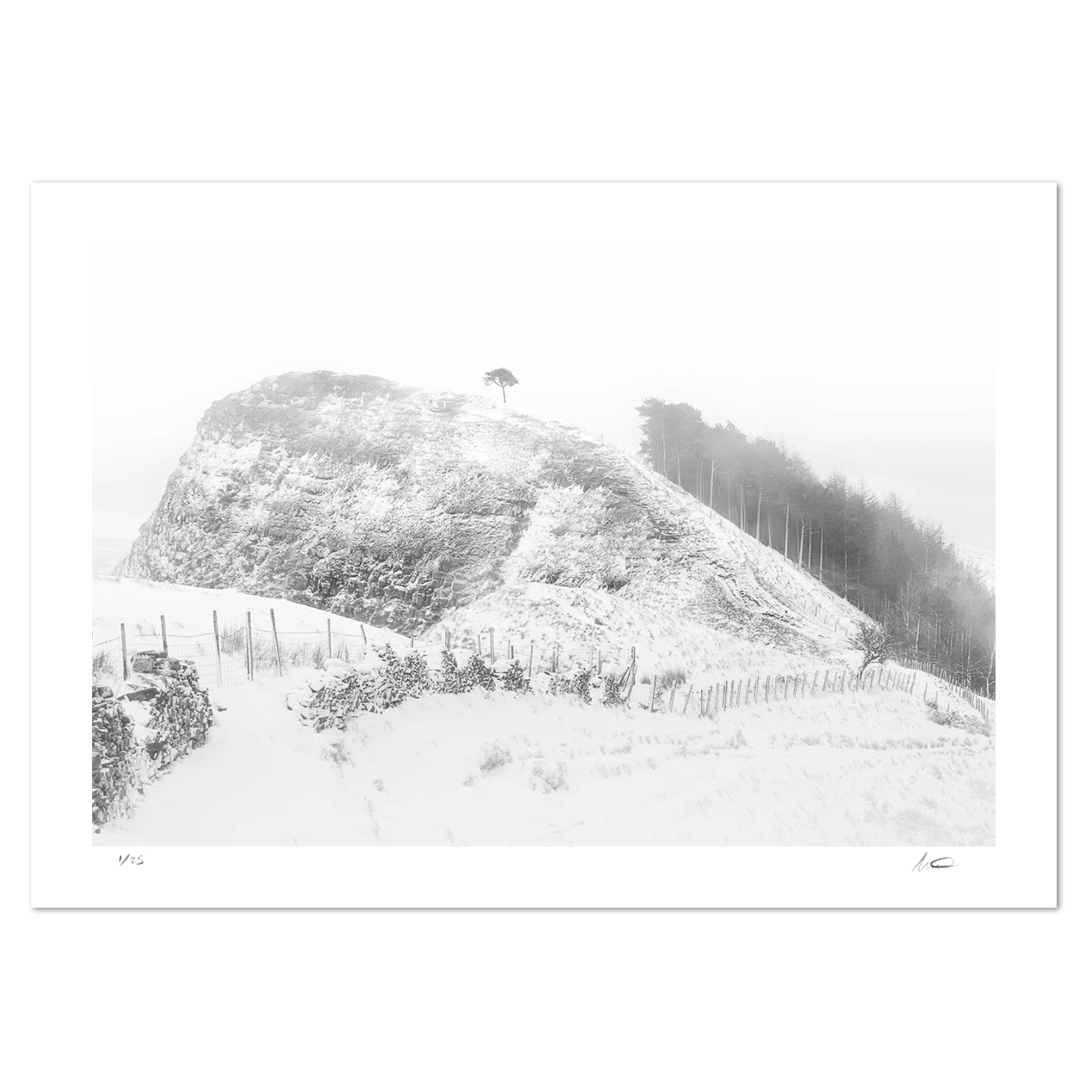 Lose Hill Winter