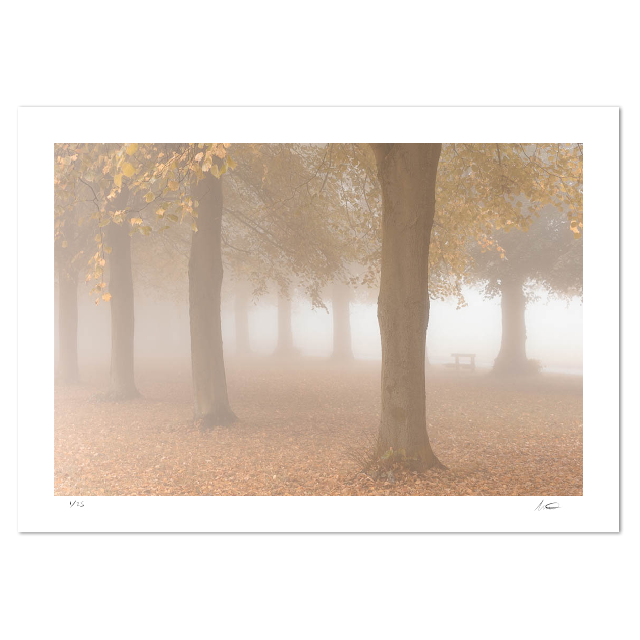 marbury mystery Matthew Light landscape photography print