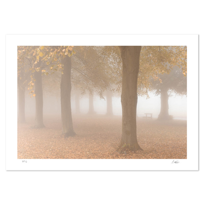 marbury mystery Matthew Light landscape photography print
