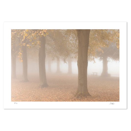 marbury mystery Matthew Light landscape photography print