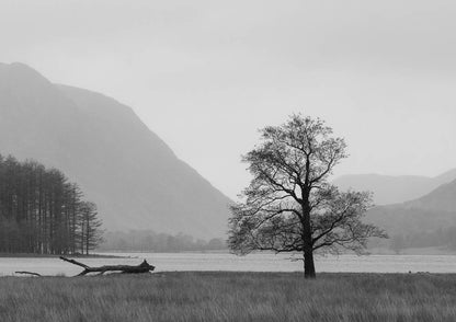 Keeping Watch Over Buttermere