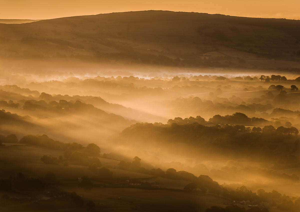 Cheshire Mist